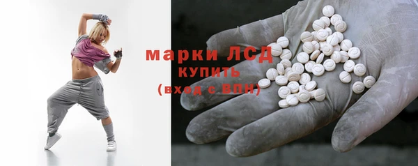 apvp Алзамай