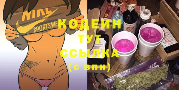 apvp Алзамай