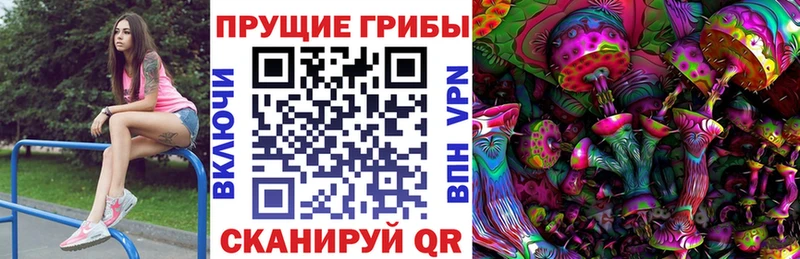 Псилоцибиновые грибы GOLDEN TEACHER как найти маркетплейс состав Щигры
