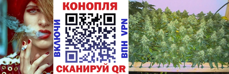 мега зеркало  Щигры  Канабис конопля  продажа наркотиков 